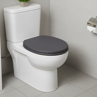 Offre Spéciale : Couvercle de siège de toilette personnalisé en MDF à fermeture douce, avec amortisseur et charnières en alliage de zinc, garantie 1 an, pour salle de bain