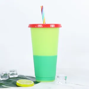 Bicchieri per bevande fredde sfuse in plastica opaca acrilica colorata riutilizzabili personalizzati 16 oz24oz con coperchio e cannuccia