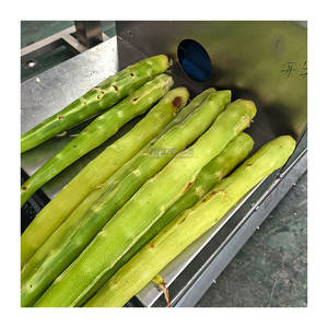 Machine à éplucher la laitue industrielle Yam Offre Spéciale longue aubergine <span class=keywords><strong>carotte</strong></span> <span class=keywords><strong>prix</strong></span> usine de haute qualité - Product Image 2