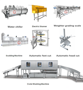 Impianto Completo di Macellazione Polli Mingshun per Allevamenti Avicoli, Capacità 1000 Polli/Ora - Product Image 2
