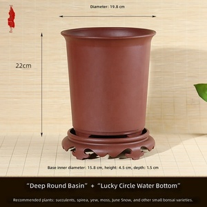Vaso in Resina Rinforzata Traspirante per Controllo Radici, per Orchidee, Piante Verdi e Succulente - Uso Interno, Balcone, Casa e Giardino - Product Image 2