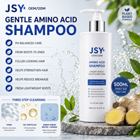 OEM ODM Label Pribadi 500ml Sampo Asam Amino Jahe Berbasis Tumbuhan Pengontrol Minyak Perawatan Kulit Kepala Penambah Volume Perawatan Rambut untuk Semua Jenis Rambut