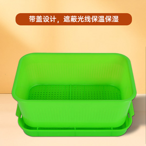 Bandejas para germinar brotes de frijol, macetas de germinación para brotes de frijol amarillos y verdes, hidroponía para cultivo en agua - Product Image 3