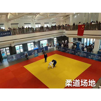 En gros personnalisation grappin dérouler kungfu exercice judo tapis supersafe fitness gym plancher tapis de lutte