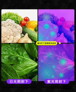 Digitale display UV-zaklamp Draagbare voedselveiligheidsdetector voor <span class=keywords><strong>Bordeaux</strong></span>-mengsels en groenten - Product Image 4