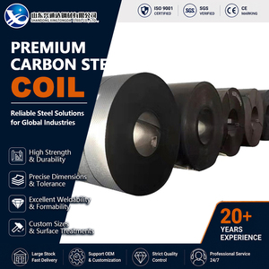 Bobina de Acero al Carbono para Construcción, Laminada en Caliente, Encerada y Envasada en Aceite, SS400 Q345, 10 mm x 1000 mm, para Soldadura - Product Image 1