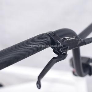 Bicicletas Completas <span class=keywords><strong>BMX</strong></span> de 20 Pulgadas para Carreras Micro/<span class=keywords><strong>Mini</strong></span>/Junior/<span class=keywords><strong>Pro</strong></span>, Diseño Original de Fábrica - Product Image 6