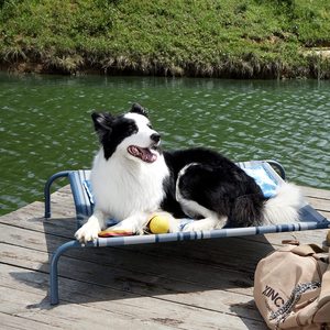 Cama para perro grande y elevada para viajes de camping en verano, camas para mascotas elevadas con marco de acero portátiles modernas, sólidas, transpirables y extraíbles - Product Image 1
