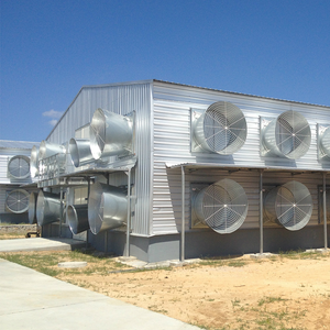 Giá Rẻ Sơn Đông Trứng Gà Coop <span class=keywords><strong>Prefab</strong></span> 1000m2 Lớn Khoảng Gia Cầm Nhà Bò Sữa Gia Súc Nhà Thép Cấu Trúc Cho Gà Trang Trại - Product Image 5