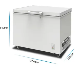 Factory Supply Commercial One Single Foam Door Ice Cream Refrigerator Freezer Chest Freezer