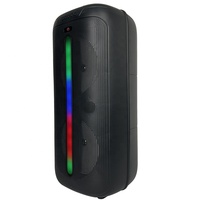 Haut-parleur extérieur double 8 pouces pour 5.3 avec micro intégré, radio USB/AUX/FM, lumières RGB, 10W, autonomie de 5 heures, en plastique, pour jardin et plage