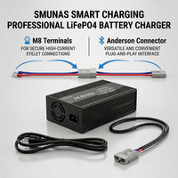 Chargeur intelligent rapide 14,6 V 20 A pour batterie LiFePO4 à décharge profonde 12 V 12,8 V 100 Ah pour camping-cars, maisons, systèmes de stockage d'énergie solaire hors réseau, camions