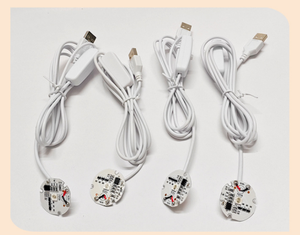 Source lumineuse LED avec base en bois, télécommande 24 touches, couleur RVB, diamètre 3,1 cm, câble USB inclus - Product Image 4