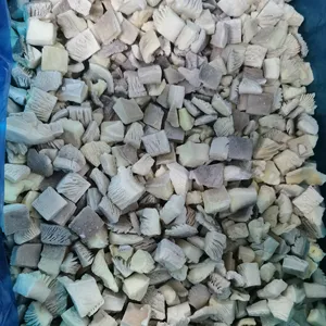 new crop IQF fresh Frozen Oyster Mushroom cube