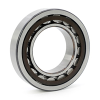 Roulement à rouleaux cylindriques à double rangée RN205M pour engrenage à vis sans fin de machine, modèle excentrique RN205M