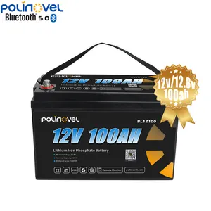 Polinovel Shipping In German Lifepo4 12V 100Ah Built Low Temp Bms Prismatic Lifepo4 Battery 12.8V 100Ah Fan Traction 12 Volt