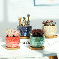 Pot de fleurs circulaire OEM pour patio extérieur en forme d'écailles de poisson, coloré, pour plantes succulentes, petit et pas cher