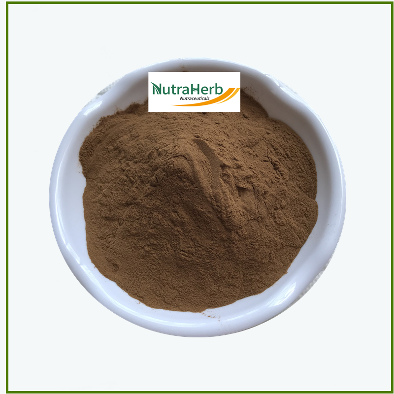 Main Supplier Instant Black Tea Powder Organic Black Tea Extract