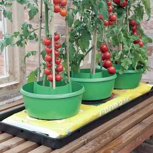 Fournitures de jardinage hydroponique, <span class=keywords><strong>pot</strong></span> de culture de <span class=keywords><strong>tomates</strong></span> <span class=keywords><strong>en</strong></span> plastique écologique, jardinières carrées avec trou de drainage, auto-<span class=keywords><strong>arrosage</strong></span>, vente <span class=keywords><strong>en</strong></span> gros - Product Image 1