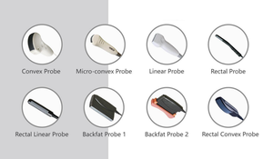 Système à ultrasons pour animaux vétérinaire B/W affichage mdeidcal portable numérique à ultrasons vétérinaires détecter la grossesse chat chien cochon - Product Image 4