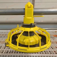 Équipement d'élevage avicole : Système de sol pour poulets de chair avec ligne d'abreuvement et d'alimentation