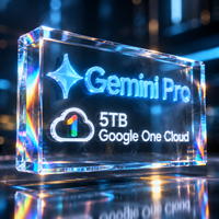 Service Premium Gemini 3.1 Pro 5TB, raisonnement puissant, entrée multimodale, sortie de haute qualité pour les professionnels, fabriqué en Chine