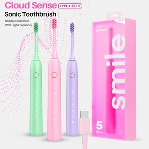 Großhandel individuelle Logo 5 Modelle 2,8 Stunden schnelles Aufladen weiche konische Kisten elektrische Zahnbürste für eine wirksame Reinigung