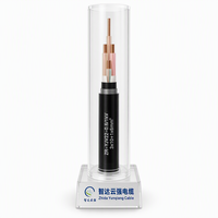 Câble d'alimentation blindé en acier ignifuge ZR-YJV22 0.6/1KV 3*10+1*6 avec conducteur en cuivre, isolation XLPE