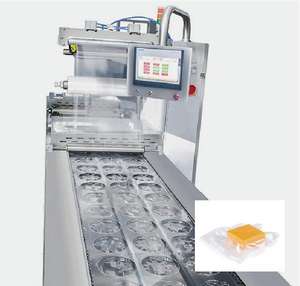 Mesin segel produk makanan segel mesin manufaktur kemasan vakum penyegel Pak vakum isi keju kemasan dan kemasan - Product Image 2