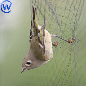 Piège à <span class=keywords><strong>oiseaux</strong></span> 20 mètres filet de pêche <span class=keywords><strong>oiseaux</strong></span> réseaux de chasse 16X5 filets de brouillard commerce maille Air brouillard filet pour attraper oiseau <span class=keywords><strong>plus</strong></span> petite maille - Product Image 1