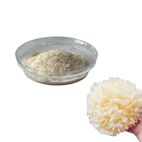 Extrait de champignon Tremella Fuciformis en poudre en vrac, riche en polysaccharides, pour la confiserie fonctionnelle et la recherche et développement de compléments alimentaires