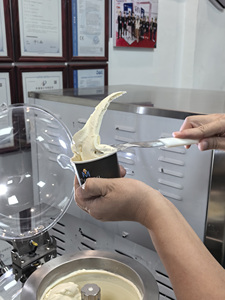 Machine à glace italienne verticale à 2 cylindres pour professionnels, congélateur à glace dure à chargement par le haut pour gelateria - Product Image 2