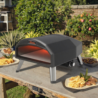 Mini-machine de cuisson d'extérieur à usage domestique petit four à pizza à gaz portable de 16 pouces