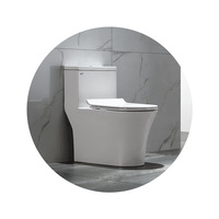 Ensemble WC monobloc en céramique à siphon à jet, économie d'eau et anti-odeur, pour hôtels et maisons d'hôtes