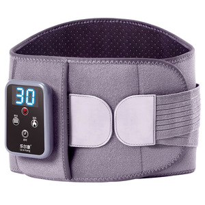 Le Er Kang Massage Waist Belt With <b>Heating</b> And Timing Control For Waist Support Premium Edition - Product Image 1