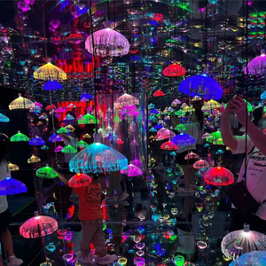 Equipo <span class=keywords><strong>de</strong></span> parque <span class=keywords><strong>de</strong></span> atracción patio interior juego <span class=keywords><strong>de</strong></span> Carnaval <span class=keywords><strong>laberinto</strong></span> mágico espejo <span class=keywords><strong>laberinto</strong></span> a la venta - Product Image 2