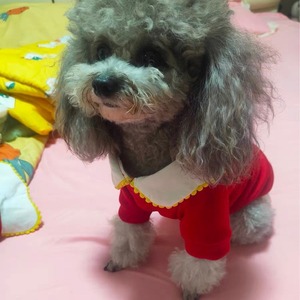 Sudadera con capucha para perro, diseño de animales adorables, de poliéster, ropa para mascotas con dibujos animados, para primavera, otoño e invierno - Product Image 3