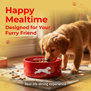 Gamelle en céramique rouge vif pour animaux, peu profonde, antidérapante, robuste, compatible avec les animaux à poils longs, 3 tailles, pour eau et nourriture, personnalisable avec logo OEM - Product Image 4