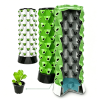 Système de culture hydroponique compact et écologique pour ananas, légumes et fruits, pour l'intérieur, avec pompe et LED en option