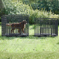 Nouvel arrivage de caisses galvanisées modernes d'intérieur pour animaux de compagnie avec fermeture à bouton pression pour chiens et chats pour usage domestique