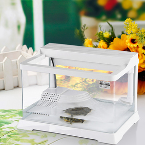 망그로브 습지 파충류 생태 거북이 원통형 수족관 유리 어항 - Product Image 3