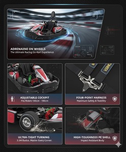 Kart de course commercial JAMMA 5.3L à essence 200cc pour adultes, drift, haute performance, alimenté à l'essence, vitesse maximale de 60 km/h - Product Image 2