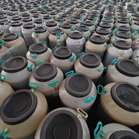 Liquide concentré d'extrait de plante de prune foncée naturelle Extrait de prune fumé Matière première industrielle alimentaire