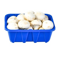 Ventes chaudes : Barquette jetable en plastique PET pour viande, légumes et champignons frais