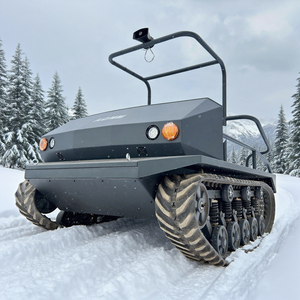 Veicolo da Divertimento Cingolato Yuanli Han <span class=keywords><strong>Ying</strong></span> 1, Carro Armato da Divertimento, Carro Armato Personale, ATV Cingolato per Trasporto Speciale - Product Image 1