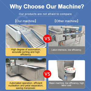 Machine automatique OCEAN pour la production de jus d'orange, de jus de canne à sucre et de jus de fruits - Product Image 5