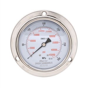 Manomètre à fond ouvert de 63 mm rempli de glycérine avec fenêtre en acier inoxydable et en polycarbonate - Product Image 3