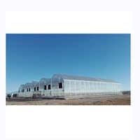 Multi-Span Polycarbonaat Kas Met Hydroponisch Systeem Nieuw Ontwerp Goot Verbonden Groot Formaat Voor Rozenbloemen Planten