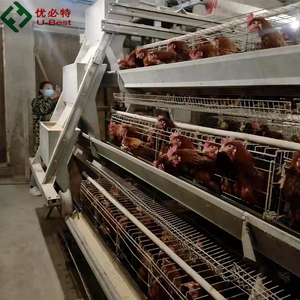 Cages à poulets automatiques à immersion à chaud de <span class=keywords><strong>type</strong></span> <span class=keywords><strong>A</strong></span> fournies par l'usine Système de ponte de batterie Équipement de ferme de poulet Mangeoires pour animaux - Product Image 2