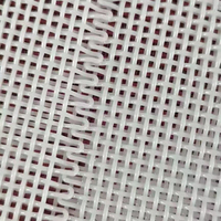 Voedselkwaliteit 100% Polyester Gaasband Voor Het Drogen Van Fruitgroente